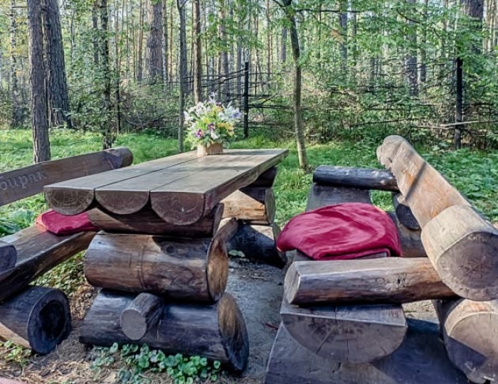 Домики в лесу - Санаторий «Сибиряк» Бердск